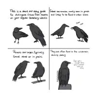 Crows vs Ravens (comic) T-Shirt - design