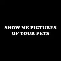 Show Me Your Pets - design