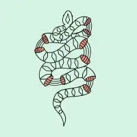 Snake- Black - design