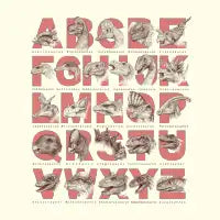Dinopedia - design