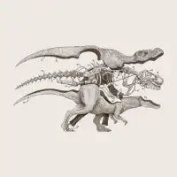 Mr. Rex - design