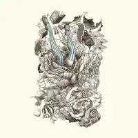 Wonderland - design