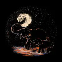 MIDNIGHT FUN - design