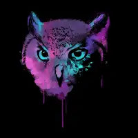 OWL SPLASH - design
