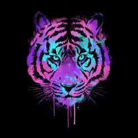 Tiger Splash - design