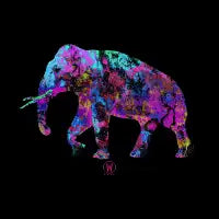 Elephant - design