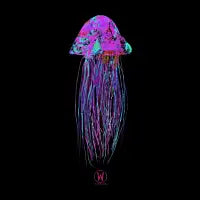 Jellyfish - design