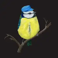 Mr. Bluetit - design