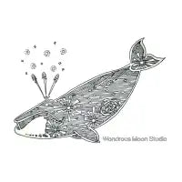 Basic Right Star Whale - design