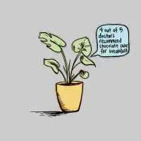 House Plant Chat - design