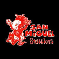SM Super Stallion - design
