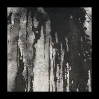 Bone Black Ink - design