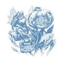 China Poppies - design