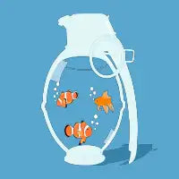 Fish Grenade - design