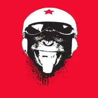 Flying Monkey - design
