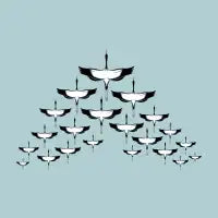 V-formation - design