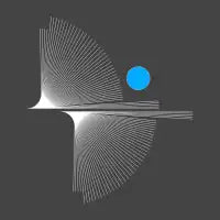 BIRD_FLY_BLUE_MOONLIGHT - design