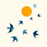 BIRD_FLY_TO_THE_MOON - design