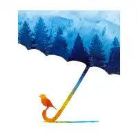 Rainforest - design