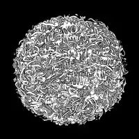 Anatomical orb - design