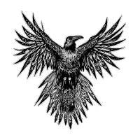 Flying Raven - design