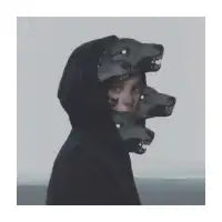 WOLF PACK 2015 - design