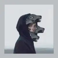 Wolf Pack - design