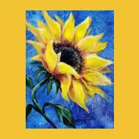 Sunflower - design