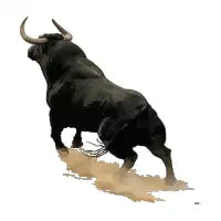 Black Bull - design