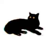 Black Cat - design