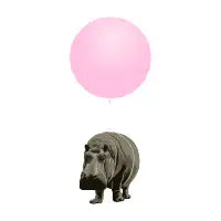 Flying Hippo II - design