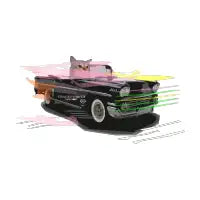 Impala Cat - design