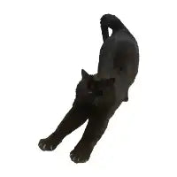 Lazy Cat - design