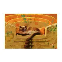 Persian Cat Hipnosis - design