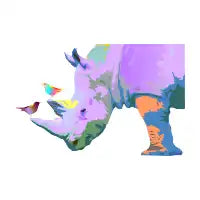 Rhino and Birds - design