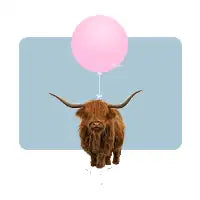 Scottish Cattle - design