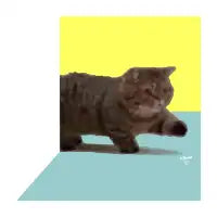 The Kitty is Coming - design
