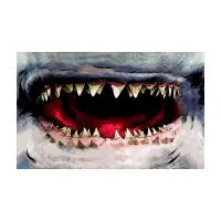 Bruce - design