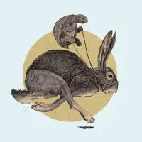 The Tortoise and the Hare - design