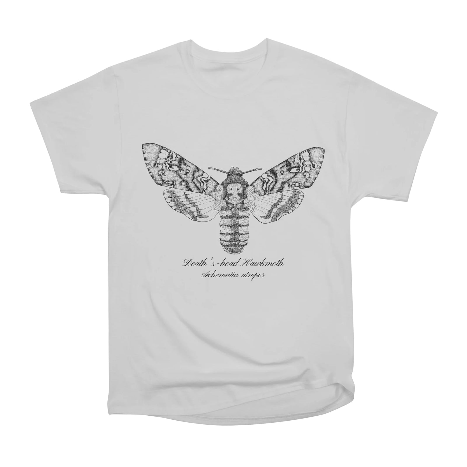 Death's Head Hawkmoth
