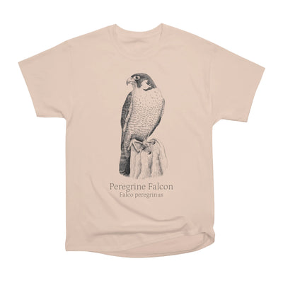 Peregrine Falcon