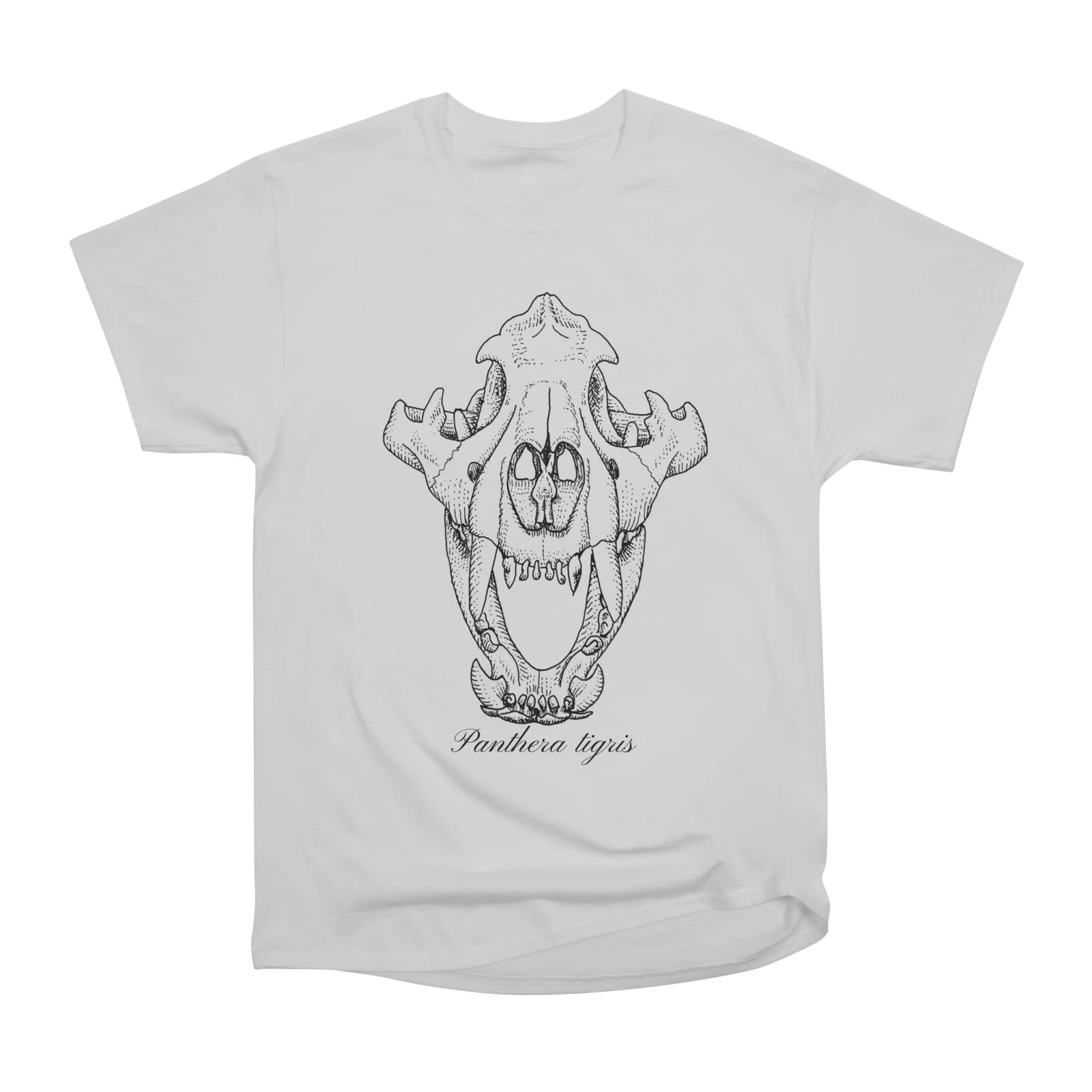Tiger skull in ink