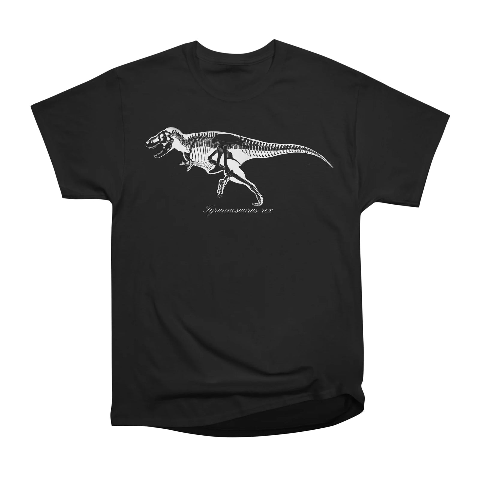 Tyrannosaurus rex skeleton light on dark