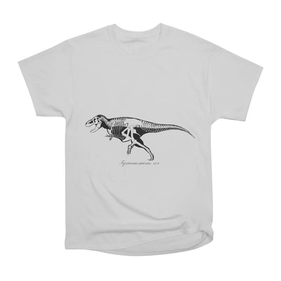 Tyrannosaurus rex skeleton