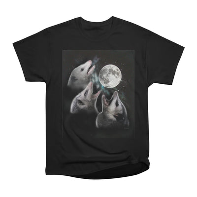 3 Opossum Moon