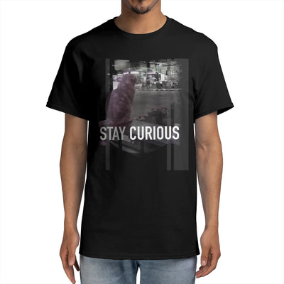 Stay Curious