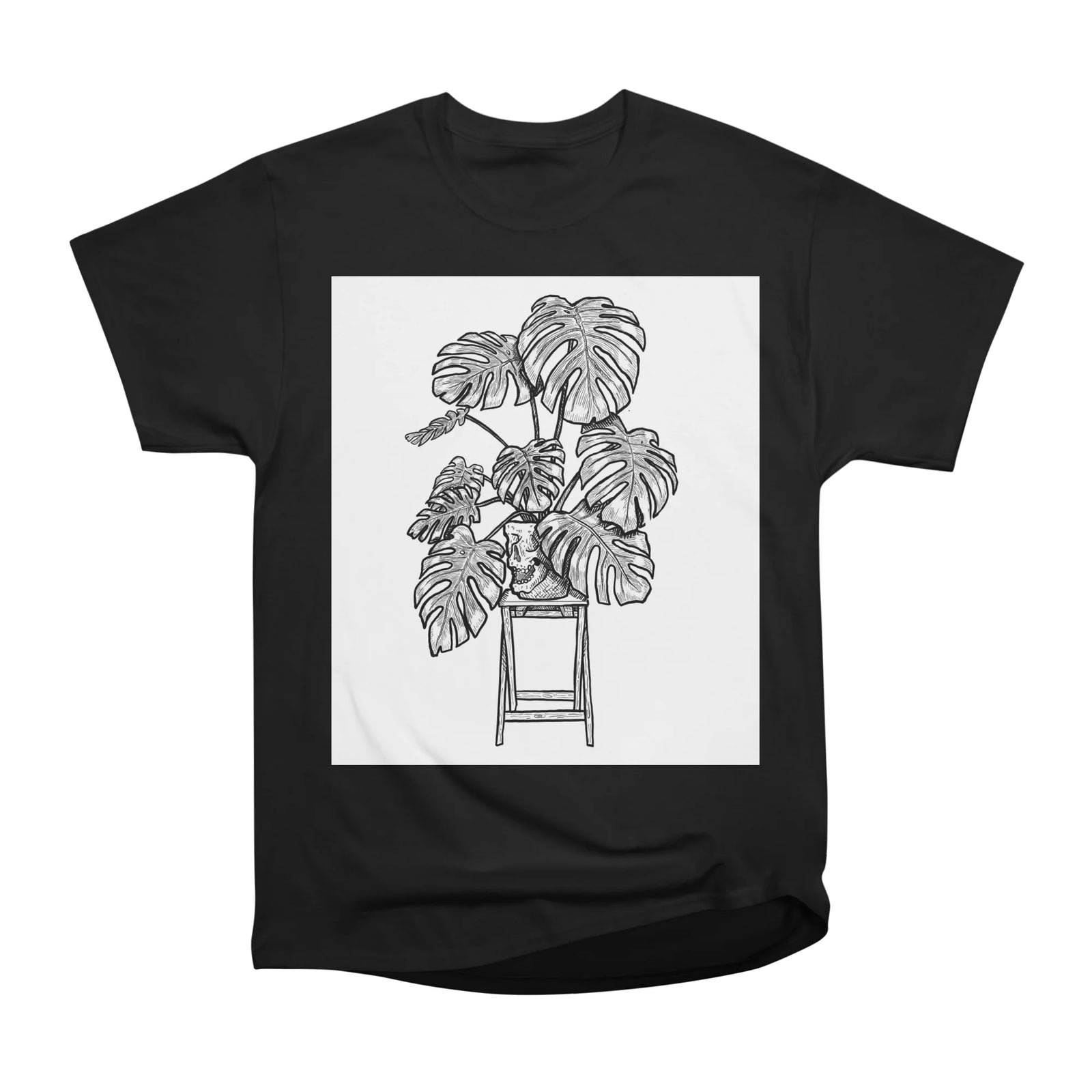 Plantas
