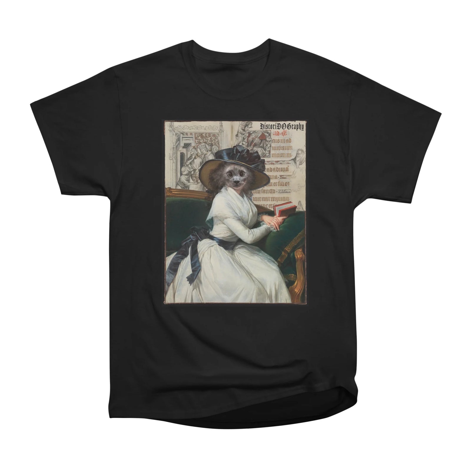 Blue Brown, the historian's cat