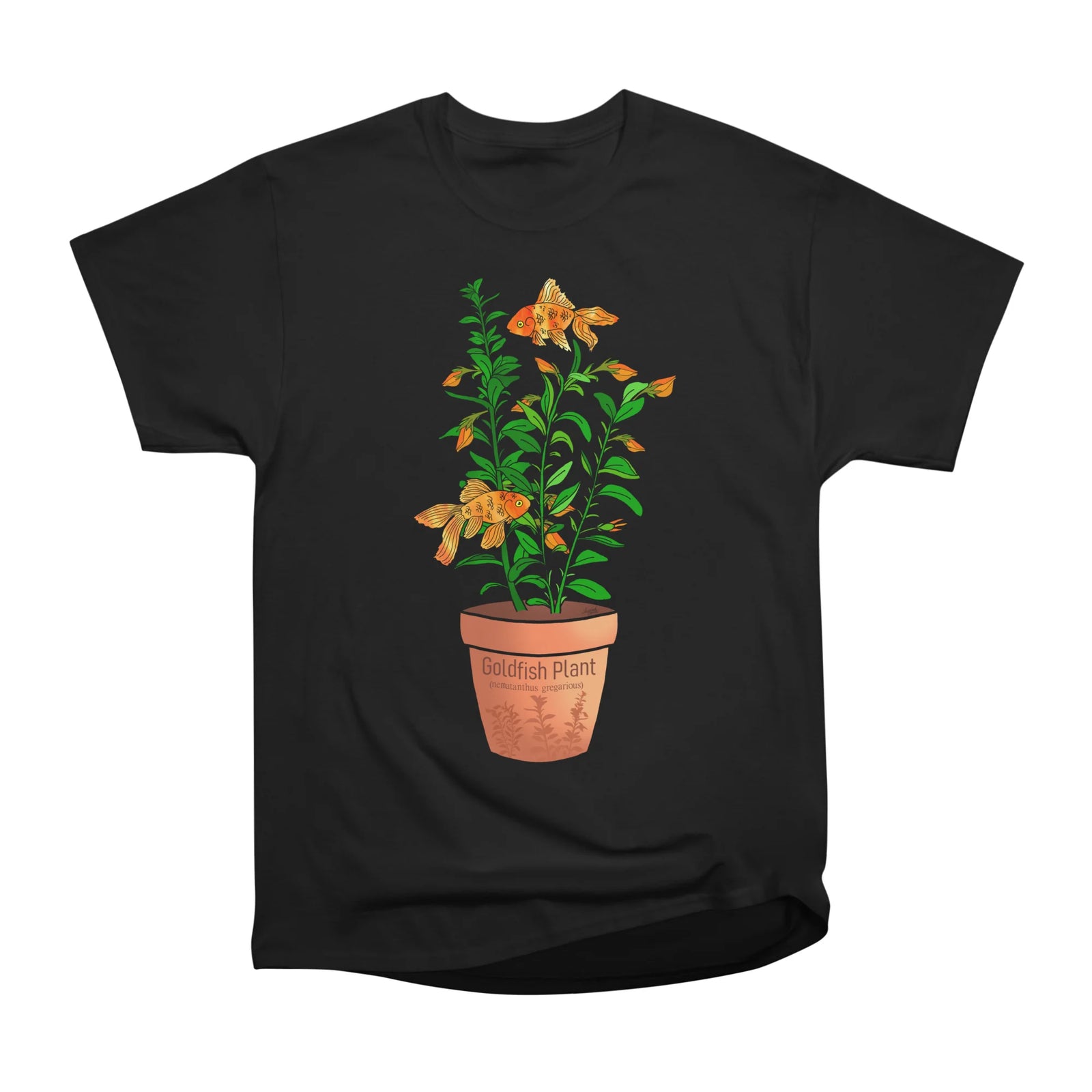 Goldfish Plant