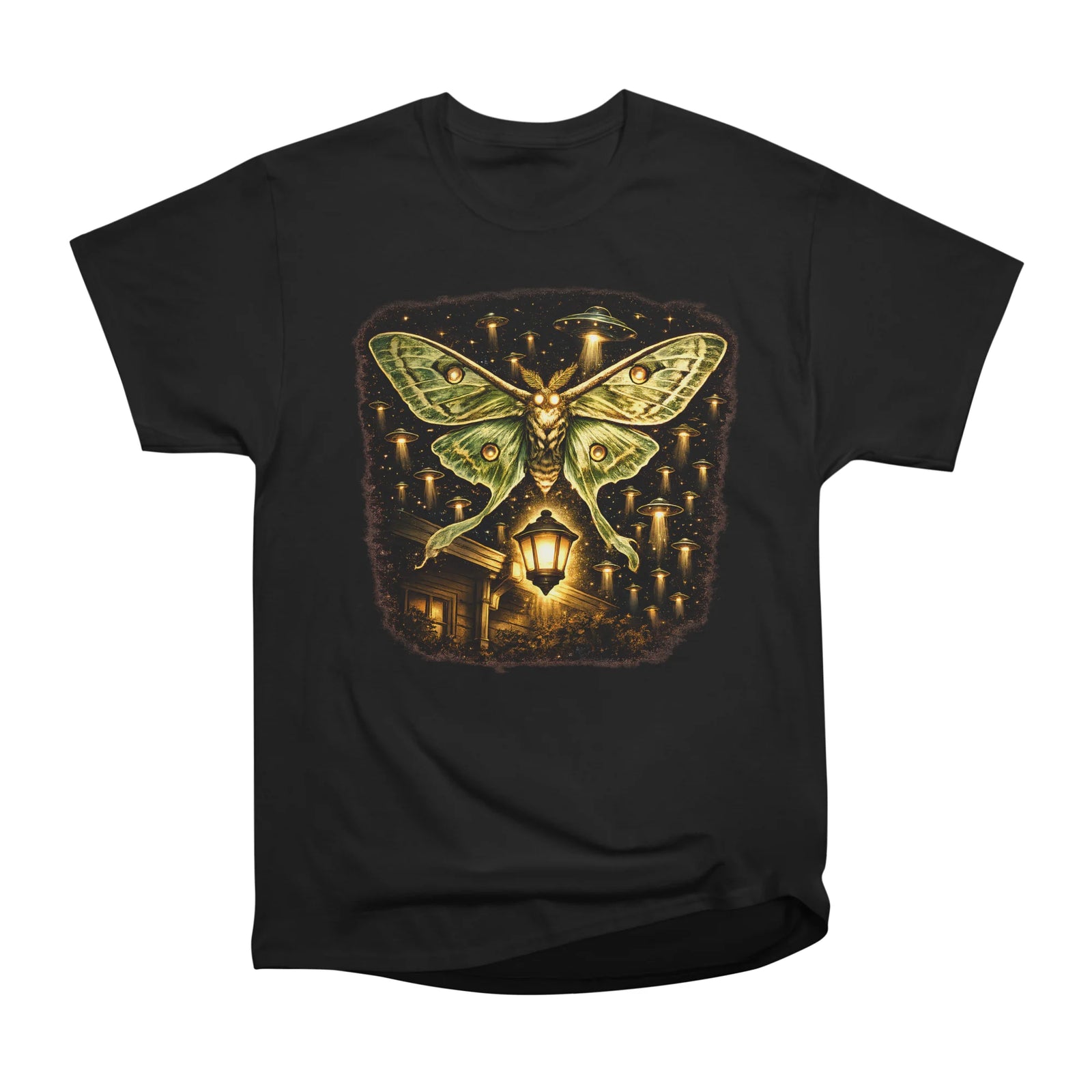 Luna Moth UFO Encounter